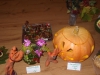 dscf0545